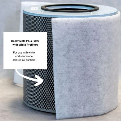 Austin Air HealthMate Plus HM450 | HEPA + Carbon Air Purifier